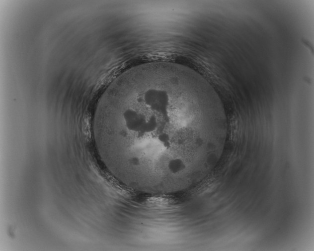 X0000100360699200806061138