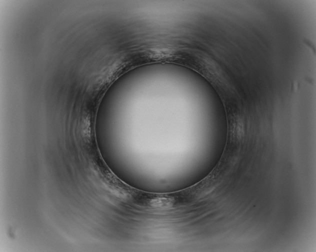 X0000100360700200806061138