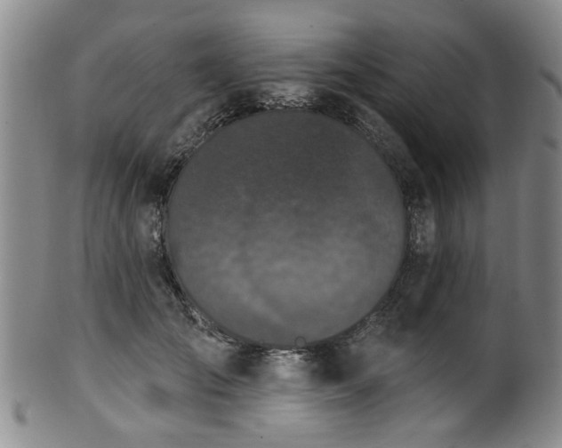 X0000100360701200806061138