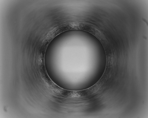 X0000100360702200806061138