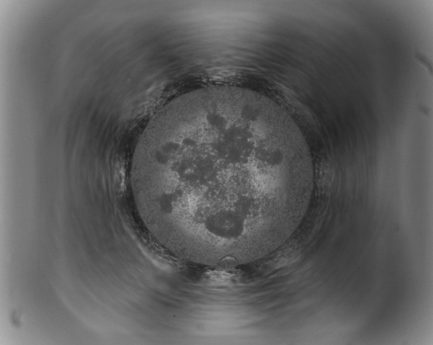 X0000100360703200806061138