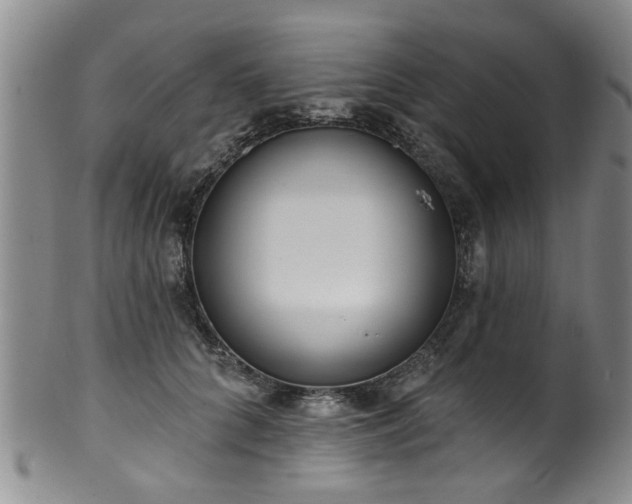 X0000100360704200806061138