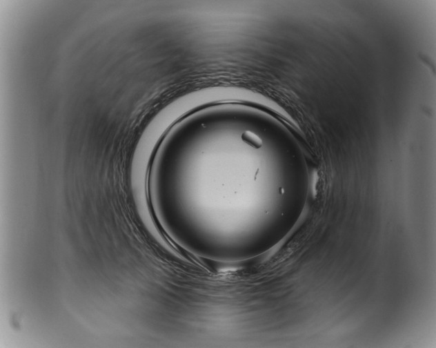 X0000100360705200806061138