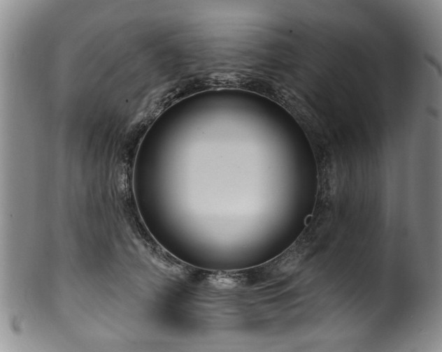 X0000100360706200806061138