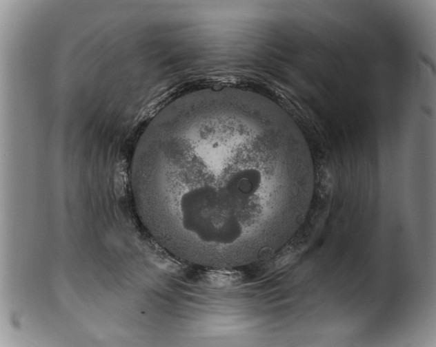 X0000100360707200806061138