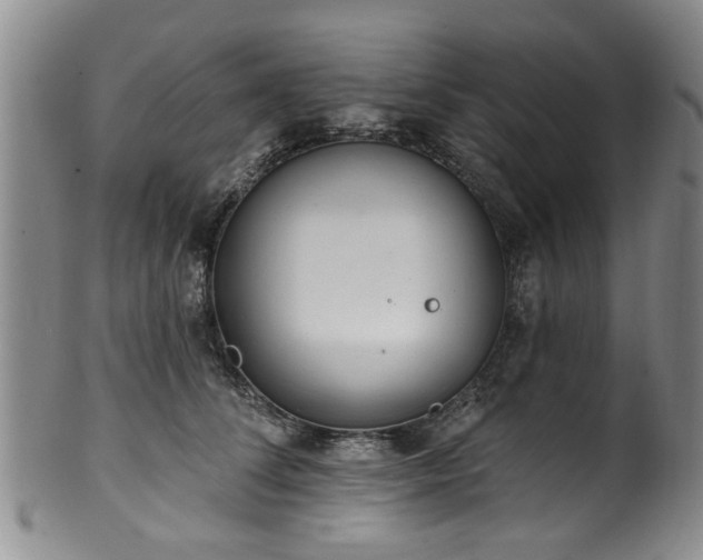 X0000100360708200806061138