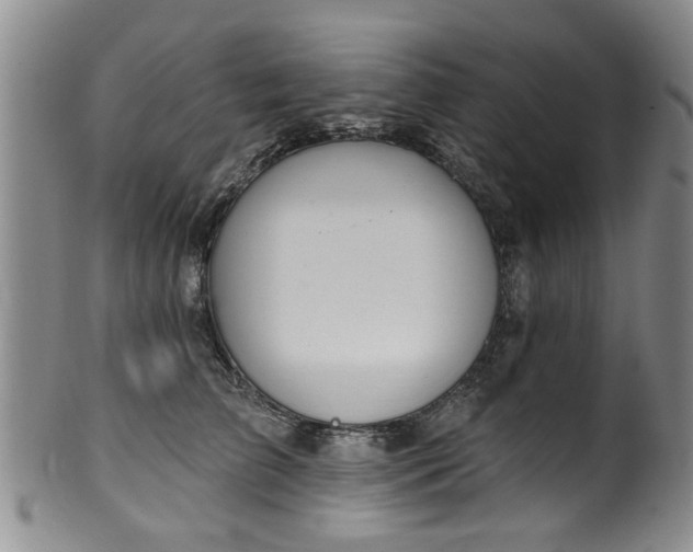 X0000100360709200806061138