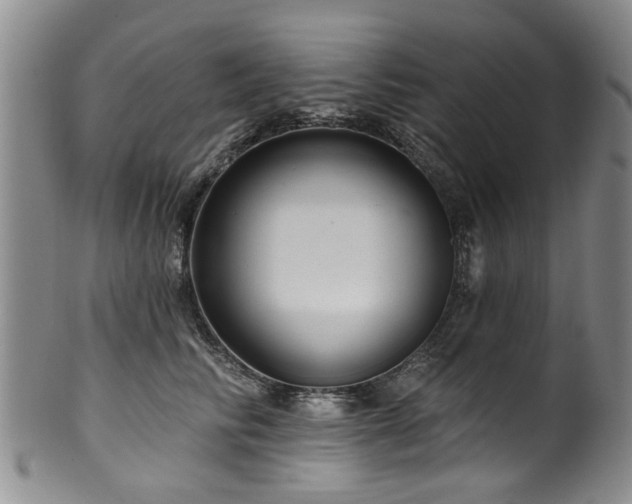 X0000100360710200806061138