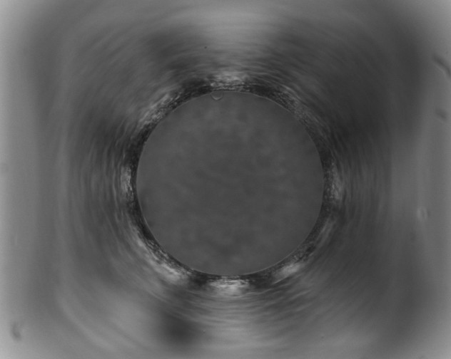 X0000100360711200806061138