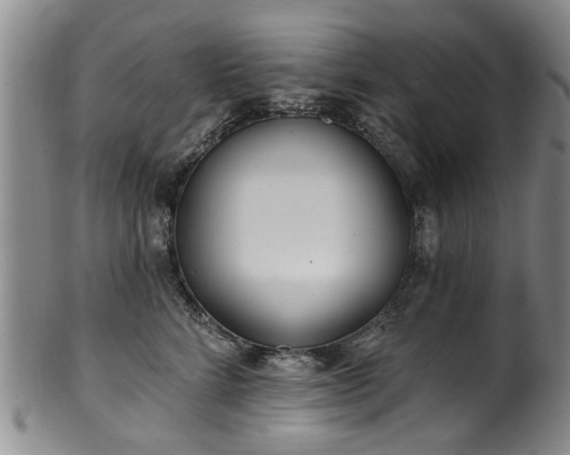 X0000100360712200806061138