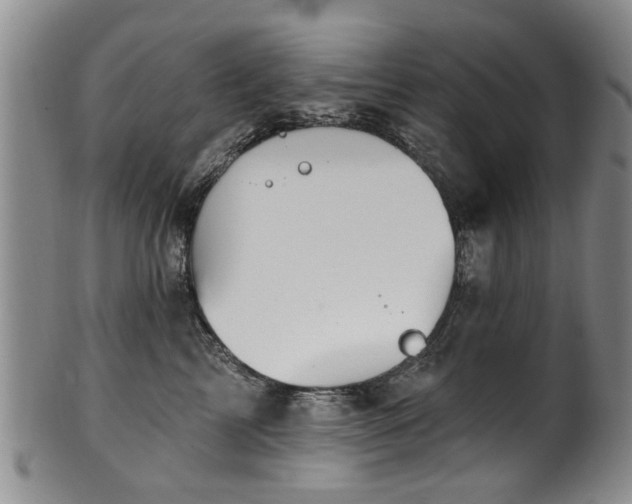 X0000100360713200806061138