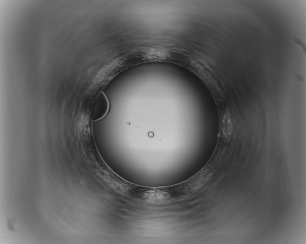 X0000100360714200806061138