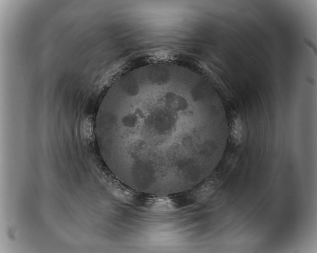 X0000100360715200806061138