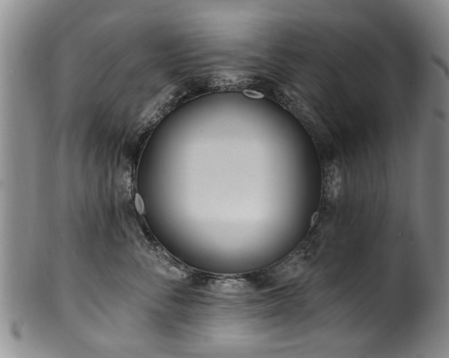 X0000100360716200806061138