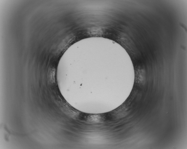 X0000100360717200806061138