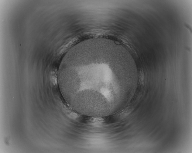 X0000100360719200806061138