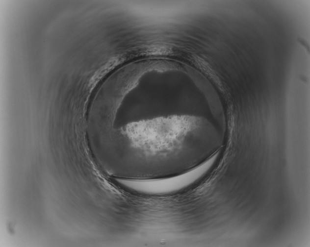 X0000100360721200806061137