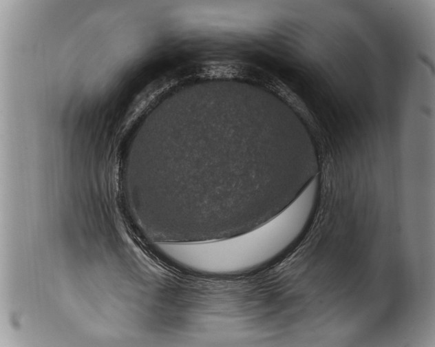 X0000100360722200806061137