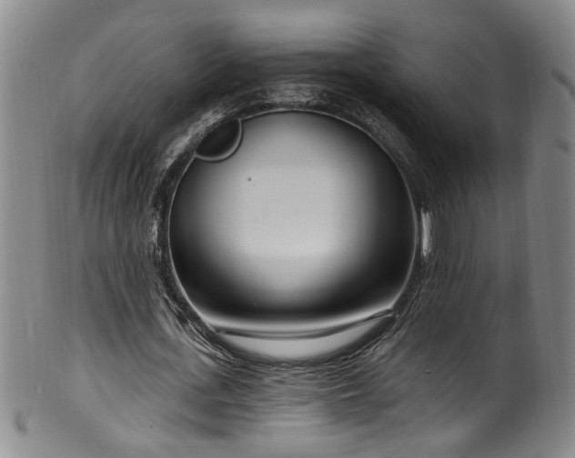 X0000100360723200806061137