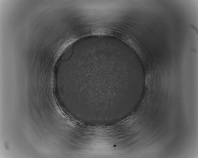 X0000100360724200806061137