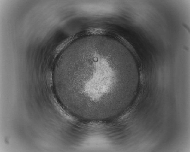 X0000100360725200806061137