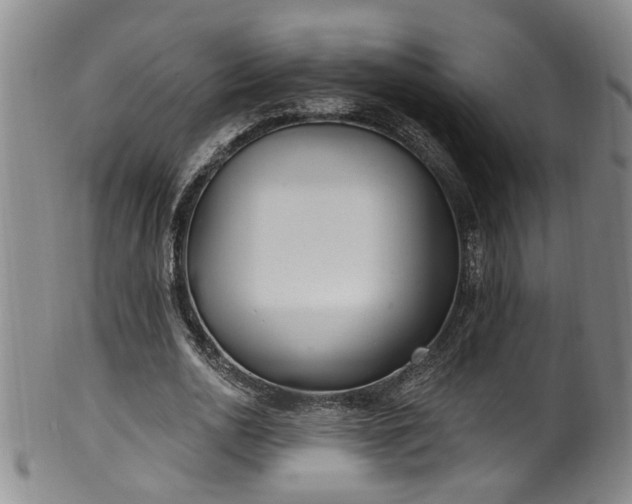 X0000100360726200806061137