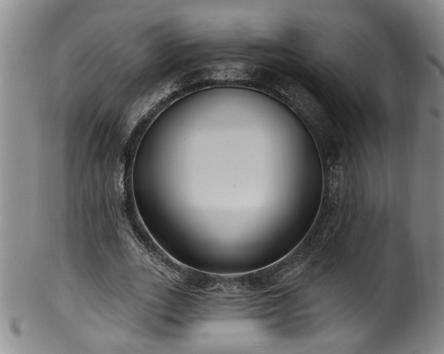 X0000100360727200806061137