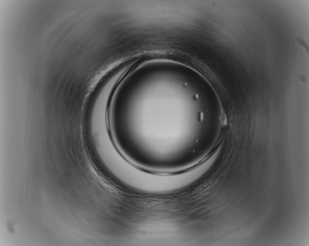 X0000100360728200806061137