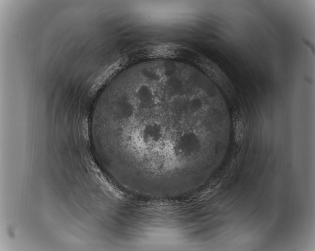 X0000100360729200806061137