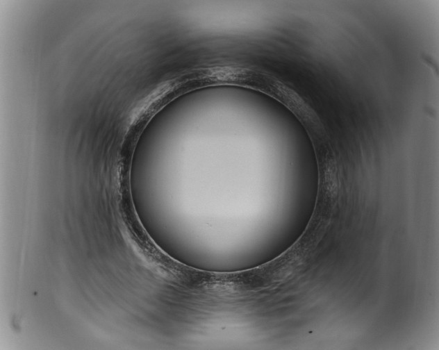 X0000100360730200806061137