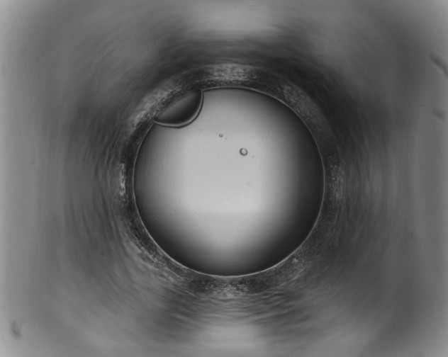 X0000100360731200806061137