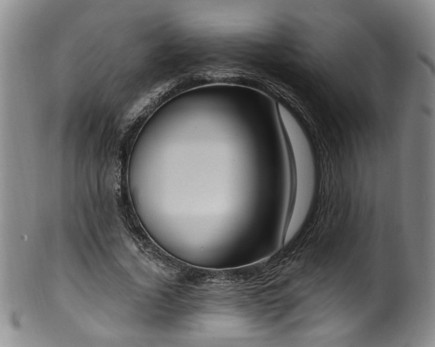 X0000100360732200806061137