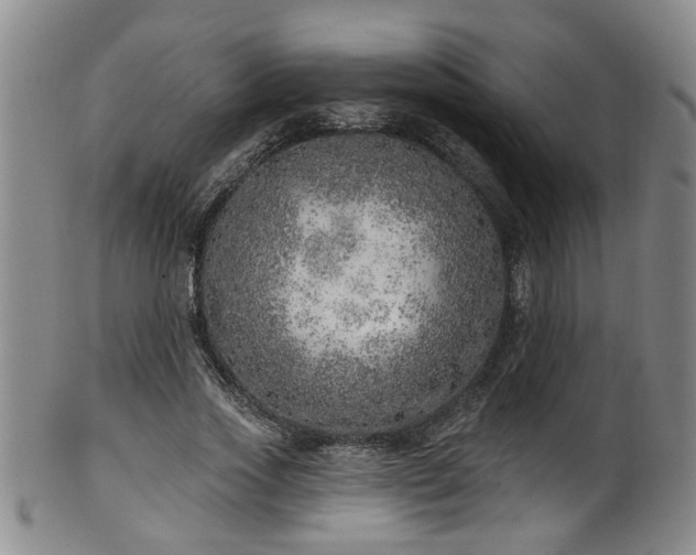 X0000100360733200806061137