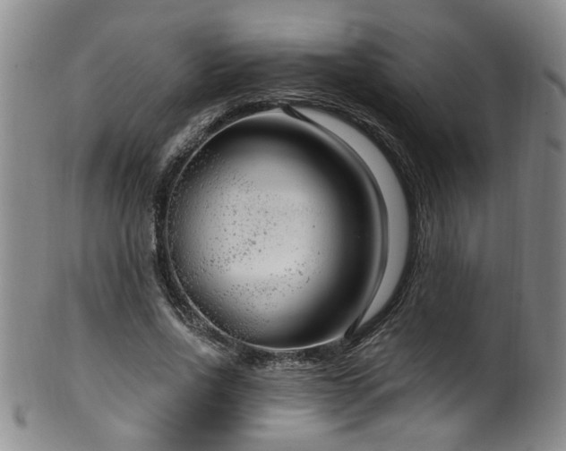 X0000100360734200806061137