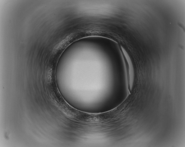 X0000100360735200806061137