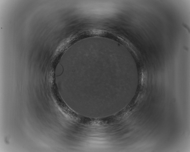 X0000100360736200806061137