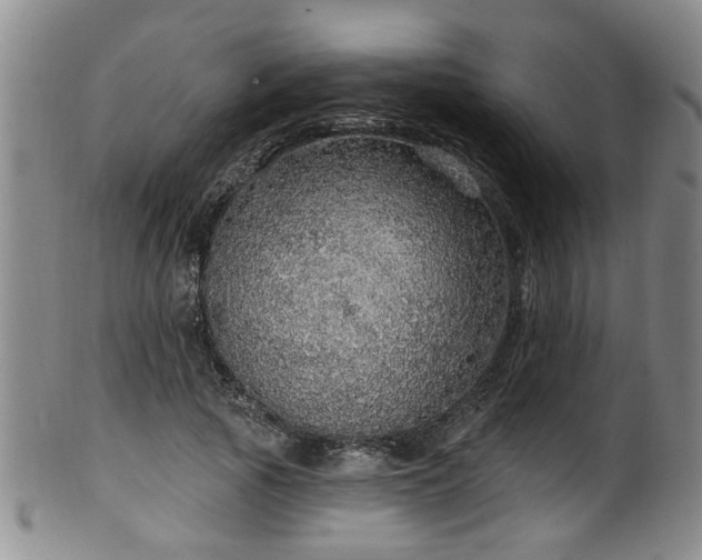 X0000100360737200806061137