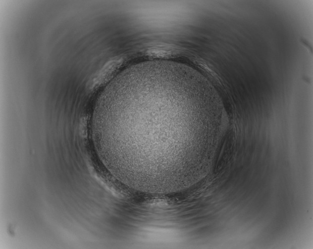 X0000100360738200806061137