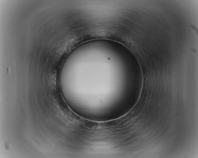 X0000100360739200806061137