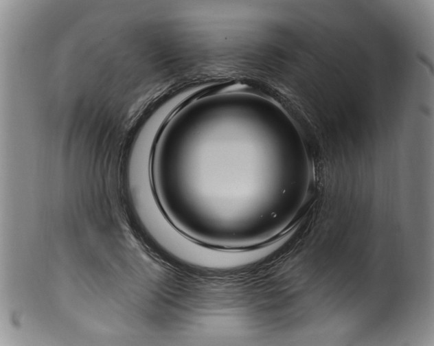 X0000100360740200806061137