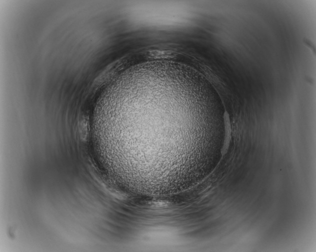 X0000100360741200806061137