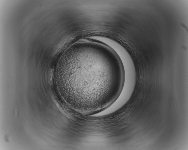 X0000100360742200806061138