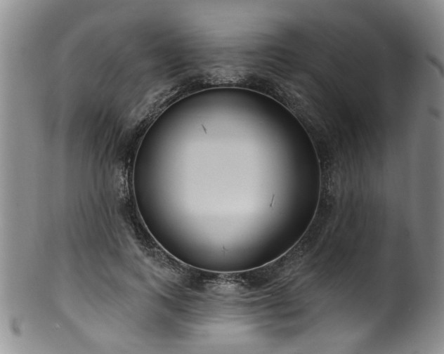 X0000100360743200806061138