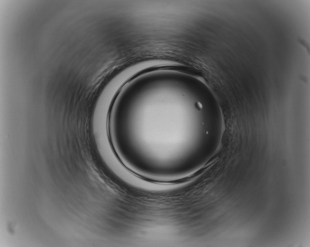 X0000100360744200806061138