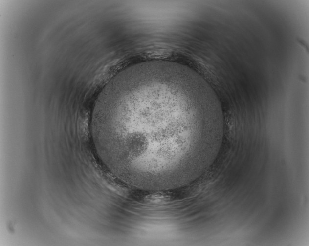 X0000100360745200806061138