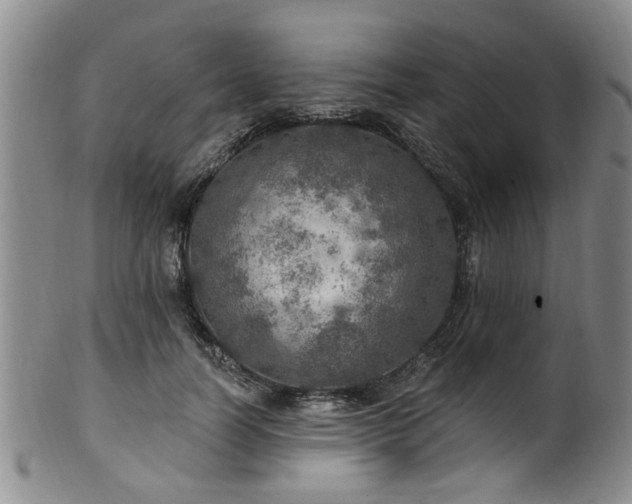 X0000100360746200806061138