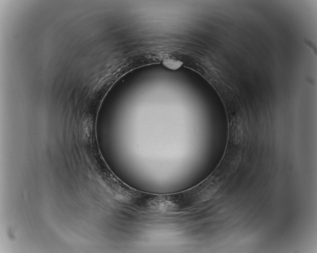 X0000100360747200806061138