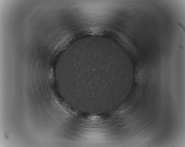 X0000100360748200806061138