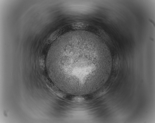 X0000100360749200806061138