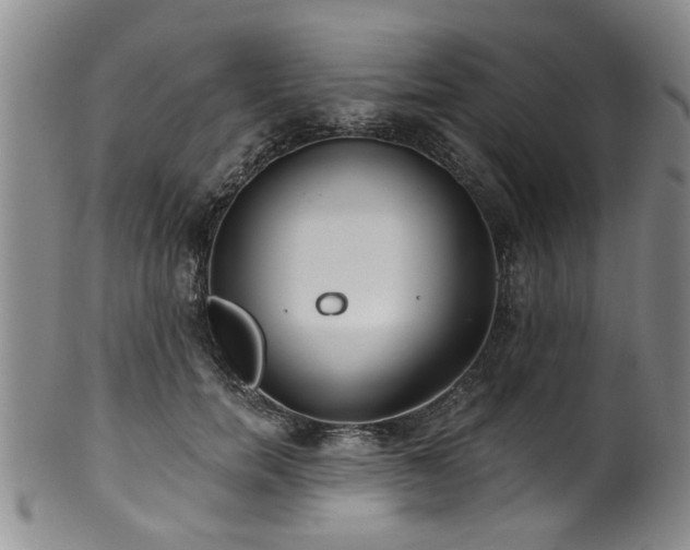 X0000100360750200806061138